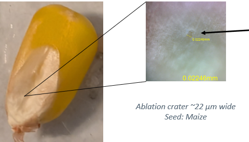 Maize kernel with a magnified view of the ablation crater, measured at about 22 micrometres wide