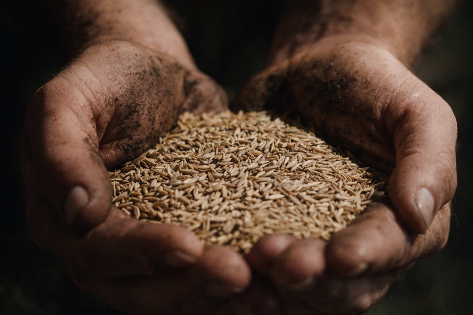 Seeds for elemental analysis